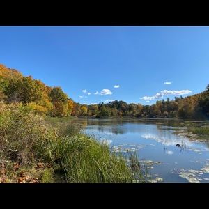 Meet your Posher, AJ